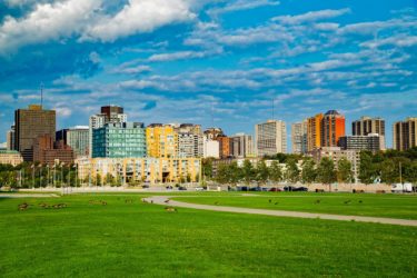 Lebreton Flats and Canadian geese, Ottawa